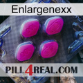 Enlargenexx 02